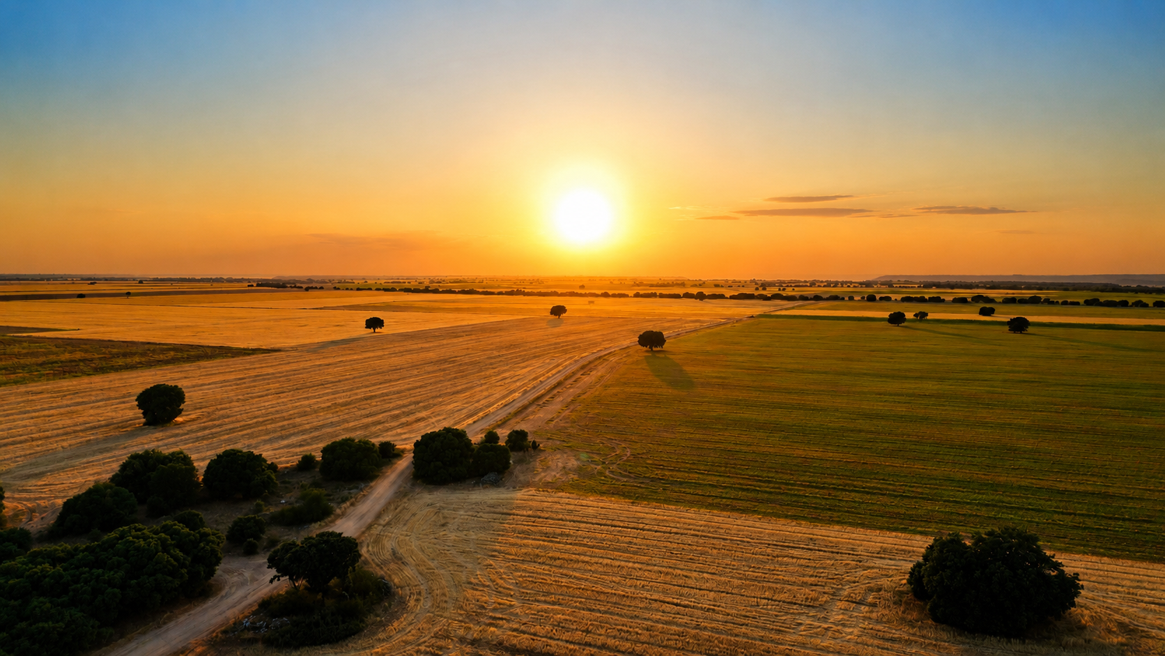 Fotografía con dron para WildCraft Marketing